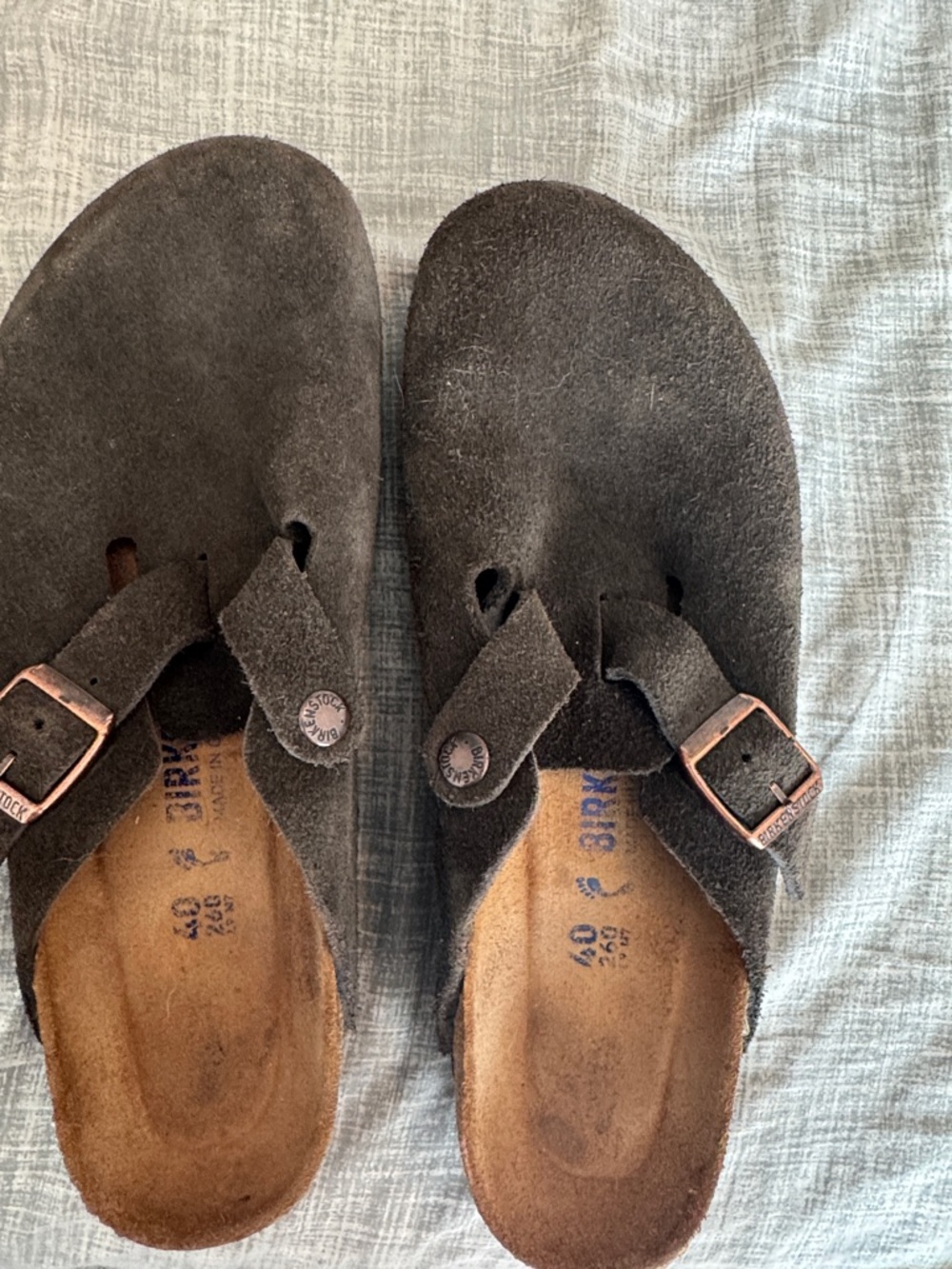 Birkenstock Dark Brown Suede Clog with Buckle